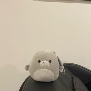 5” Matt the Manatee Squishmallow Brand New With Tags USA Exclusive